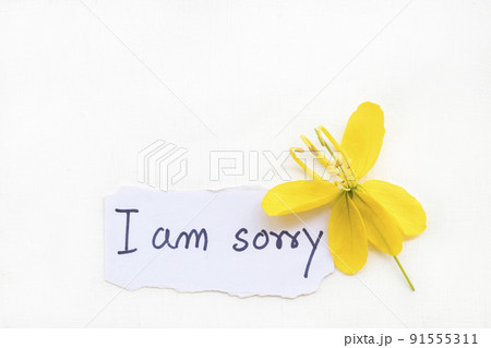 i am sorry message card handwriting with yellow butterfly flowers  91555311