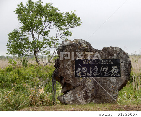 北海道標津町の標津湿原 91556007
