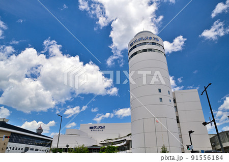福岡市の風景 福岡サンパレスホテル&ホール 福岡市の風景 福岡サンパレスホテル&ホール 91556184