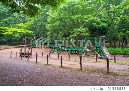 上尾丸山公園　木製遊具　初夏の風景 91556853
