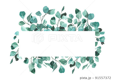 爽やかな葉っぱのフレーム　水彩 91557372