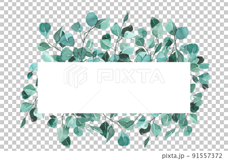 爽やかな葉っぱのフレーム　水彩 91557372