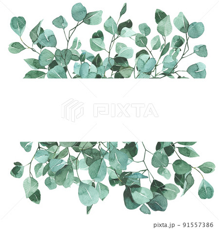 爽やかな葉っぱのフレーム　水彩 91557386