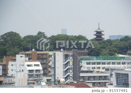 池上本門寺 池上本門寺 91557491