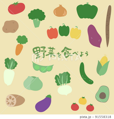 手描き　野菜イラスト素材セット 91558318