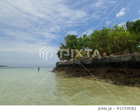 セブ島からのアイランドホッピング セブ島からのアイランドホッピング 91559082