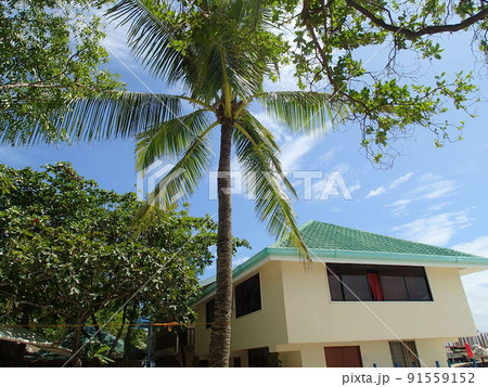 セブ島からのアイランドホッピング 91559152