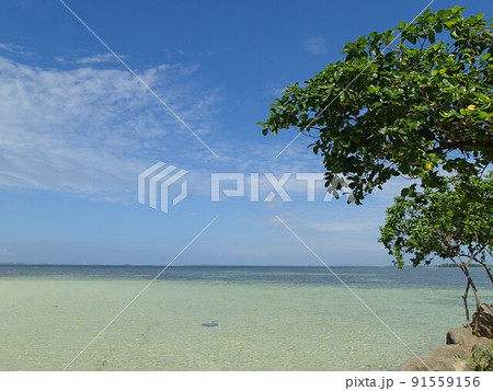 セブ島からのアイランドホッピング セブ島からのアイランドホッピング 91559156