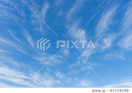 青い空・白い雲 青い空・白い雲 91559299