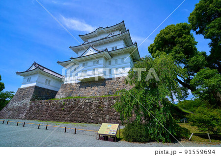 神奈川県小田原市の小田原城を本丸広場から見る 91559694