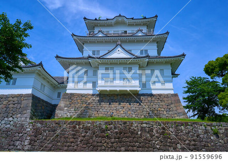 神奈川県小田原市の小田原城を本丸広場から見る 91559696