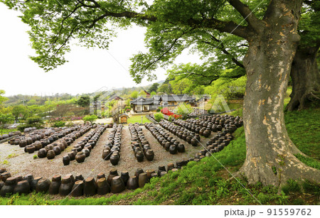 自然 風景 伝統 91559762