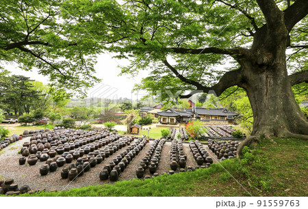 自然 風景 伝統 91559763