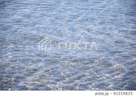 海　水面 91559835