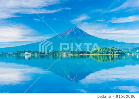 (山梨県)河口湖畔 夏富士 (山梨県)河口湖畔 夏富士 91560086