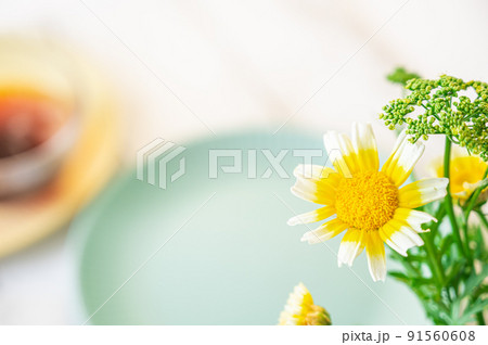 素朴な花と癒しの時間 素朴な花と癒しの時間 91560608