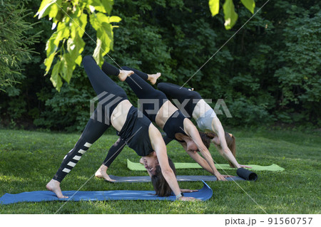 Group of young women practicing yoga dog face down. Adho Mukha Svanasana. Girls in sports clothing are doing fitness exercises. Group of young women practicing yoga dog face down. Adho Mukha Svanasana. Girls in sports clothing are doing fitness exercises. 91560757