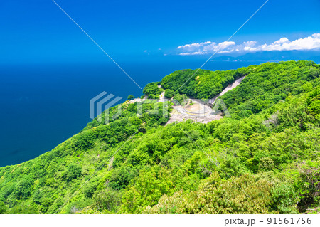 《福井県》レインボーライン山頂公園・初夏の風景 91561756