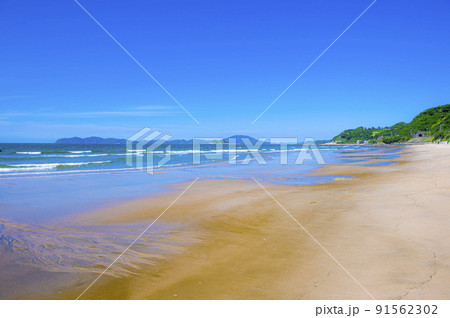 鳴き砂で有名 綺麗な姉子の浜 91562302