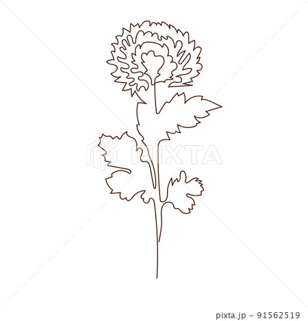 chrysanthemum tattooTikTok Search