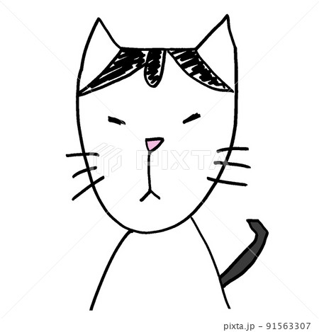 カツラを被ったような柄の猫のまめさん4 91563307