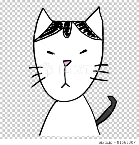 カツラを被ったような柄の猫のまめさん4 91563307