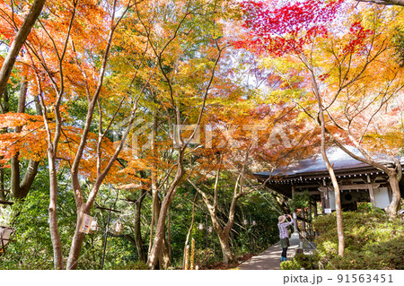 滋賀県近江八幡市　秋の紅葉が美しい八幡山の山頂にあるお願い地蔵尊近江八幡城 91563451