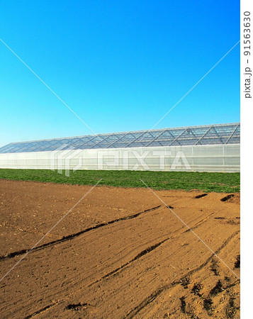 農業用ハウスと耕作された冬の野菜畑風景 91563630
