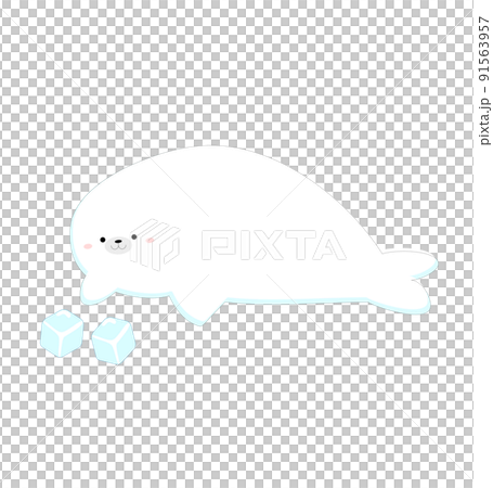 Seal staring at the ice 91563957