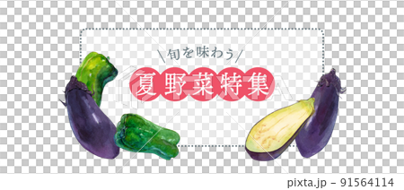 Watercolor illustration of summer vegetables 91564114