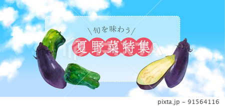 夏野菜の水彩イラスト 91564116