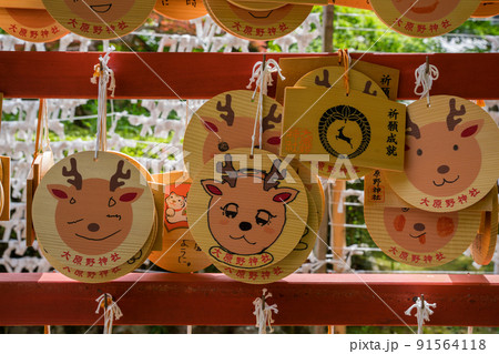 京都　大原野神社の絵馬 91564118