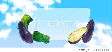 夏野菜の水彩イラスト 91564119