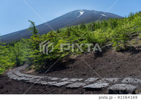 富士山を見ながらハイキング 御中道 富士山を見ながらハイキング 御中道 91564169