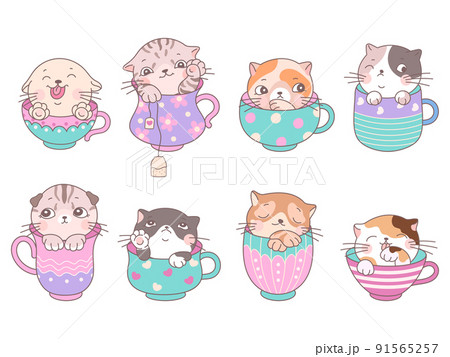 Cute cats in cup. Kitten coffee cups, cartoon isolated kitty in tea mug. Kawaii adorable animals, baby sweet stickers and prints. Funny nowaday vector elements Cute cats in cup. Kitten coffee cups, cartoon isolated kitty in tea mug. Kawaii adorable animals, baby sweet stickers and prints. Funny nowaday vector elements 91565257