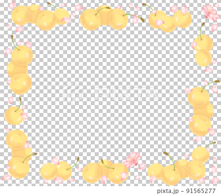 Soft cherries and cherry blossom petal frame white ver 91565277