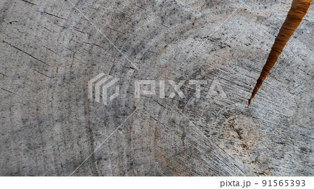 Background from cross section of tree trunk. Abstract texture from the rings of old weathered wood with a crack Background from cross section of tree trunk. Abstract texture from the rings of old weathered wood with a crack 91565393