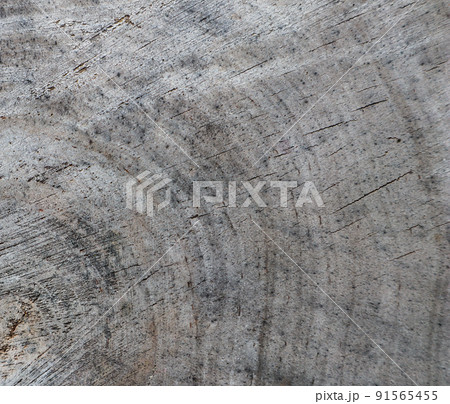 Background from cross section of tree trunk. Abstract texture from the rings of old weathered wood with a crack Background from cross section of tree trunk. Abstract texture from the rings of old weathered wood with a crack 91565455