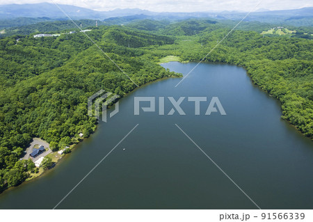 北海道 白老のポロト湖を空撮（ウポポイ隣接） 91566339
