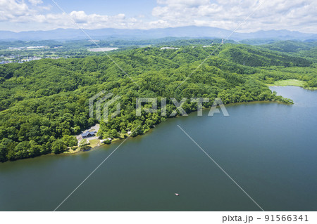 北海道 白老のポロト湖を空撮（ウポポイ隣接の湖） 91566341