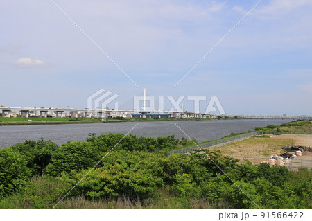 首都高速かつしかハープ橋【東京都葛飾区】 91566422