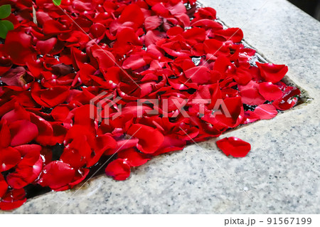 花手水 花手水 91567199