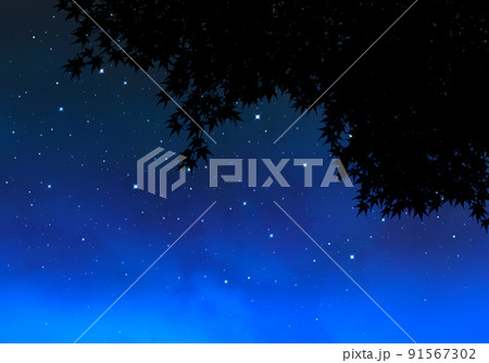 モミジ葉シルエットの先に広がる、星空の創造アート モミジ葉シルエットの先に広がる、星空の創造アート 91567302