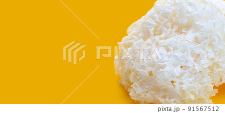 Tremella Mushroom on yellow background. 91567512