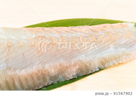 ヒラメの柵 ヒラメの柵 91567902