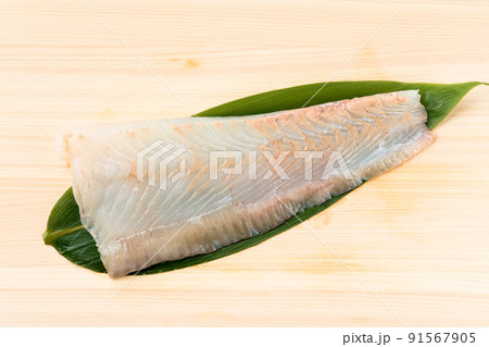 ヒラメの柵 91567905