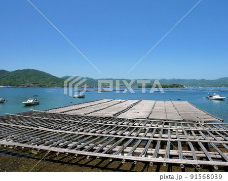大芝港周辺の牡蠣筏　（広島県安芸津町大芝島） 91568039