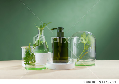 Front view of mugwort ( artemesia vulgaris ) decorated in petri dish glassware white podium cosmetic jar and green background Front view of mugwort ( artemesia vulgaris ) decorated in petri dish glassware white podium cosmetic jar and green background 91569734