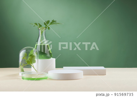 Front view of mugwort ( artemesia vulgaris ) decorated in petri dish glassware white poodium cosmetic jar and green background Front view of mugwort ( artemesia vulgaris ) decorated in petri dish glassware white poodium cosmetic jar and green background 91569735