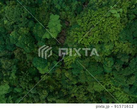 Aerial view of beautiful tropical forest mountain landscape 91571612